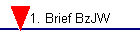 1. Brief BzJW