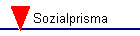 Sozialprisma