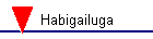 Habigailuga