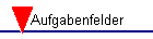 Aufgabenfelder