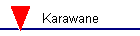 Karawane