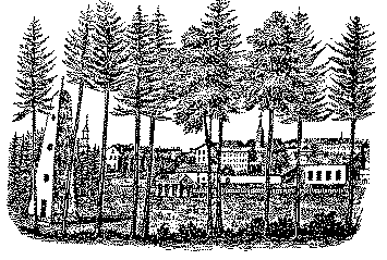 Schwarzwald