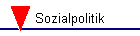 Sozialpolitik