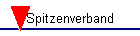 Spitzenverband